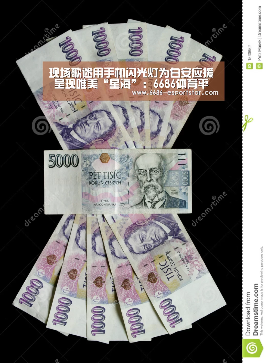 6686登录入口