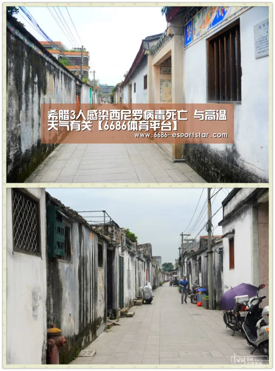 希腊3人感染西尼罗病毒死亡 与高温天气有关【6686体育平台】(图2) 6686登录入口