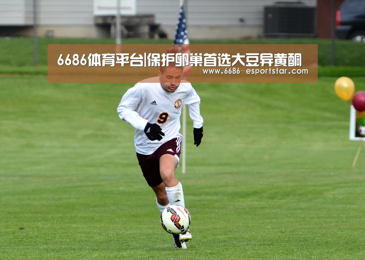 6686登录入口