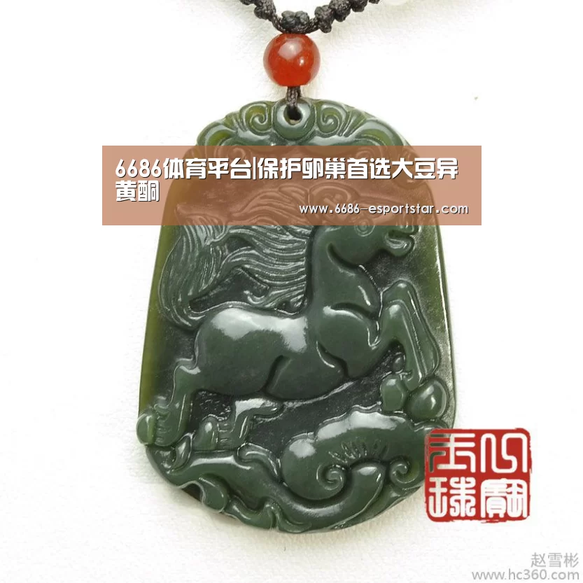 6686登录入口