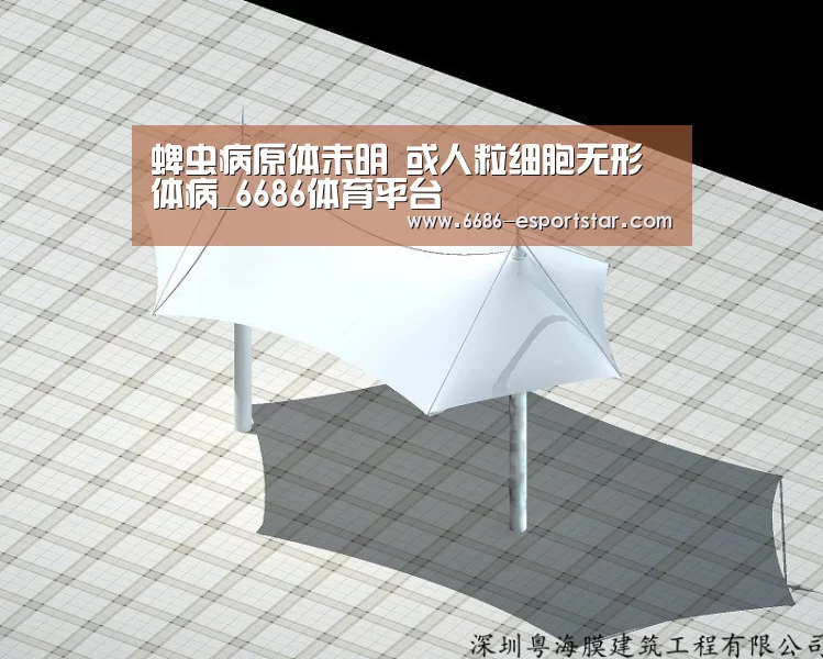 6686足球竞猜
