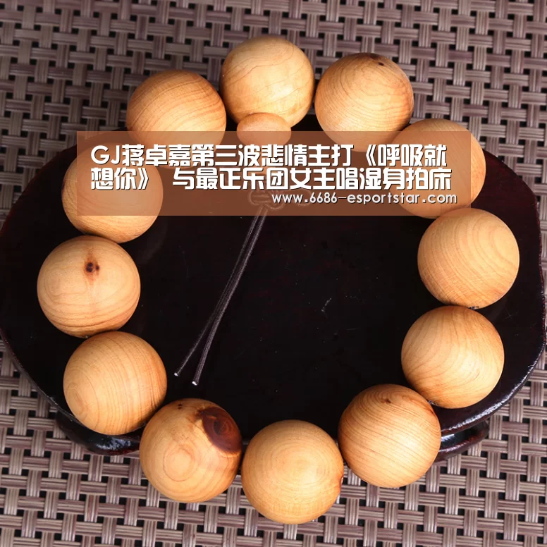 6686登录入口
