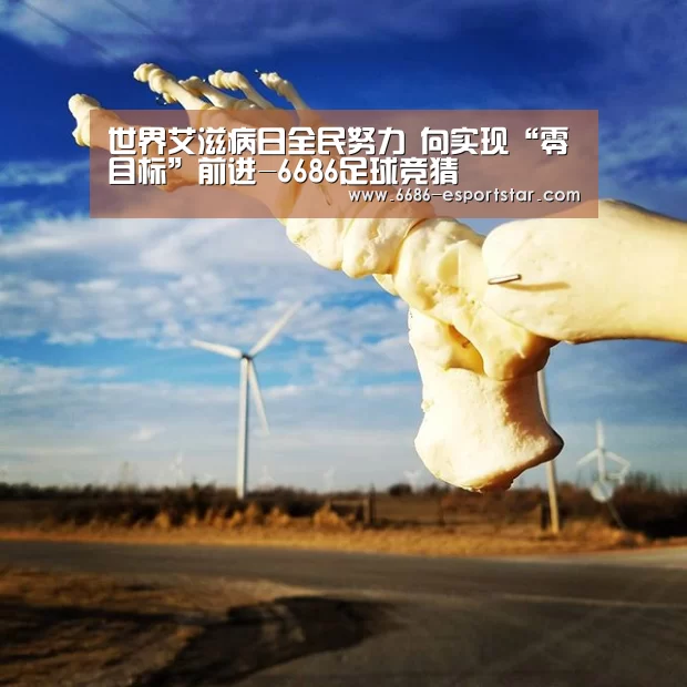 6686登录入口