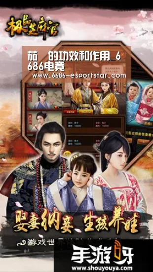 6686体育平台