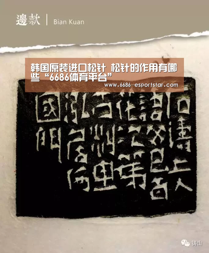 韩国原装进口松针 松针的作用有哪些“6686体育平台”(图2) 6686足球竞猜