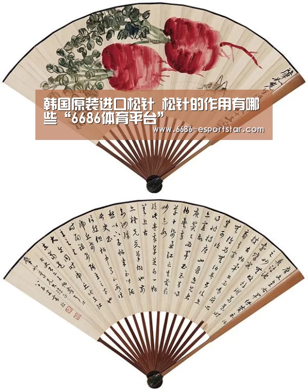 韩国原装进口松针 松针的作用有哪些“6686体育平台”(图1) 6686体育平台